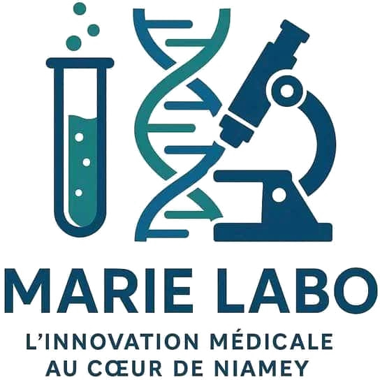 MarieLabo — L'innovation médicale au cœur de Niamey